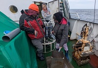 Сотрудники НПО «Тайфун» вернулись из экспедиции на Белое море